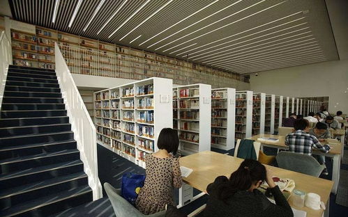 看完這些天津人的好消息，長假回來也開心了——聚焦信息技術咨詢服務新機遇